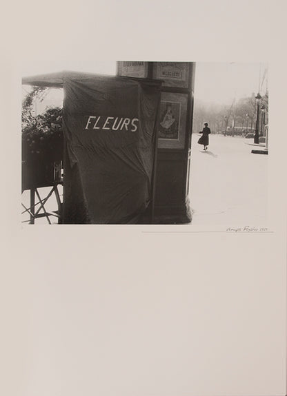 Robert Frank's Flower Is consists of three bodies of work. It begins with photographs taken in Paris of flowers, flower sellers, and chance encounters on the street, continues in a car factory in Detroit, and ends with polaroids made in Mabou Mines, Nova Scotia.