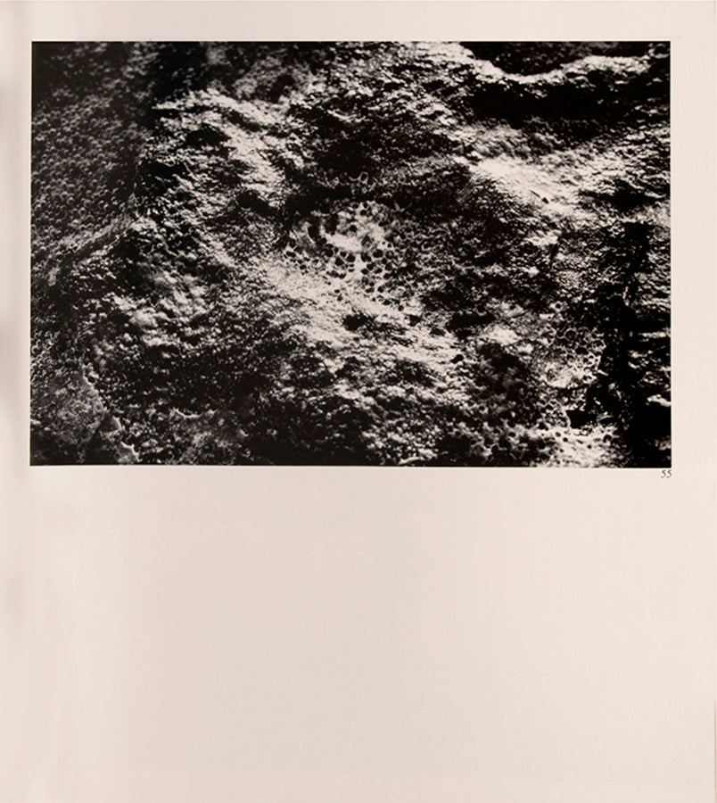 Morinaga Jun's photographs in River, its shadow of shadows of polluted Tokyo rivers foreshadow W. Eugene Smith's decision to document the fallout from polluted waters in Minamata.