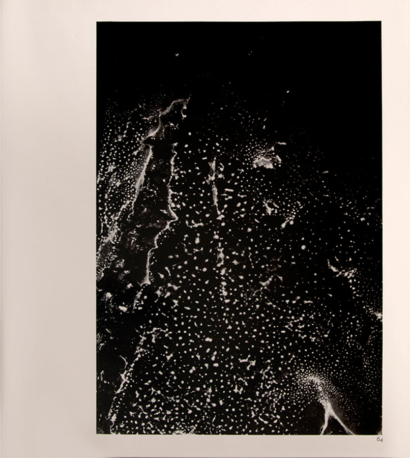 Morinaga Jun's photographs in River, its shadow of shadows of polluted Tokyo rivers foreshadow W. Eugene Smith's decision to document the fallout from polluted waters in Minamata.