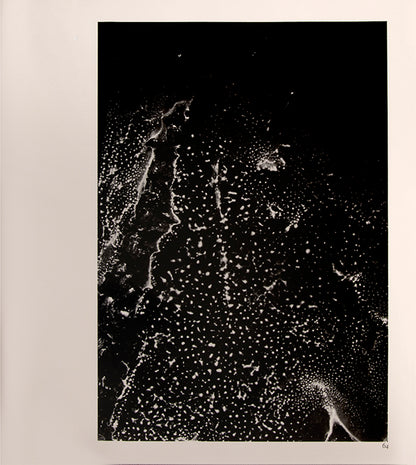 Morinaga Jun's photographs in River, its shadow of shadows of polluted Tokyo rivers foreshadow W. Eugene Smith's decision to document the fallout from polluted waters in Minamata.
