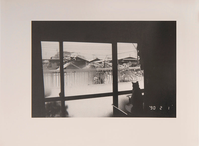 Araki Nobuyoshi's Sentimental Journey, Winter Journey consists of two parts, a selection of photographs from his honeymoon with his wife Yoko, followed by a documentation of the last months of her life.
