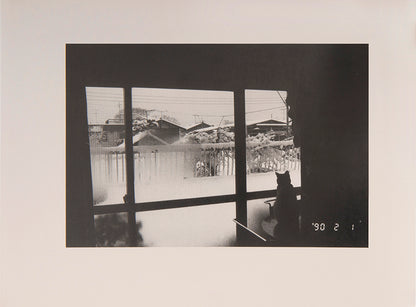 Araki Nobuyoshi's Sentimental Journey, Winter Journey consists of two parts, a selection of photographs from his honeymoon with his wife Yoko, followed by a documentation of the last months of her life.