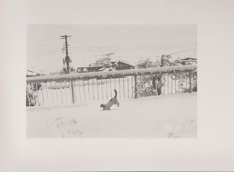 Araki Nobuyoshi's Sentimental Journey, Winter Journey consists of two parts, a selection of photographs from his honeymoon with his wife Yoko, followed by a documentation of the last months of her life.