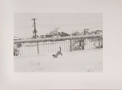 Araki Nobuyoshi's Sentimental Journey, Winter Journey consists of two parts, a selection of photographs from his honeymoon with his wife Yoko, followed by a documentation of the last months of her life.