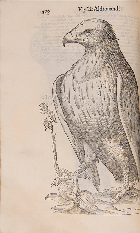The edition princeps of Aldrovandi Ullise's Ornithologiae, a celebrated treatise on birds illustrated with woodcuts.