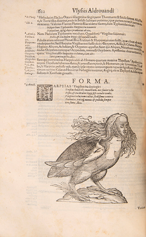 The edition princeps of Aldrovandi Ullise's Ornithologiae, a celebrated treatise on birds illustrated with woodcuts.
