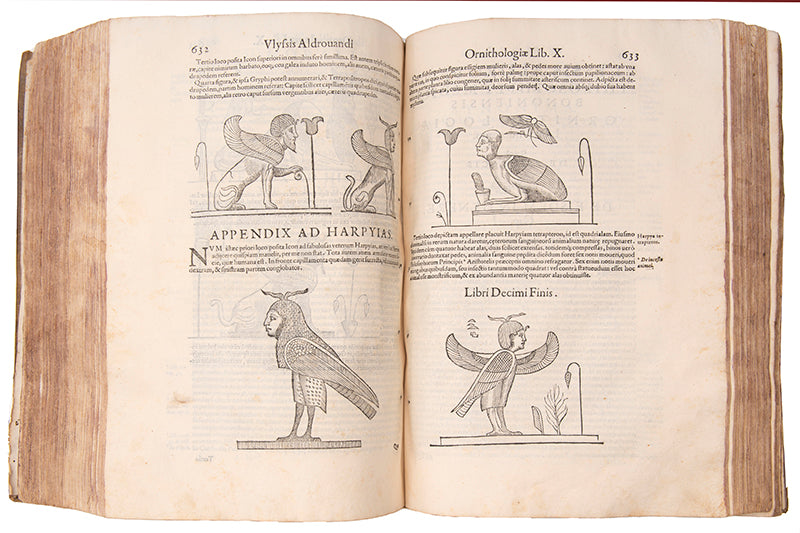 The edition princeps of Aldrovandi Ullise's Ornithologiae, a celebrated treatise on birds illustrated with woodcuts.