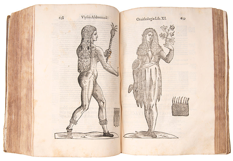 The edition princeps of Aldrovandi Ullise's Ornithologiae, a celebrated treatise on birds illustrated with woodcuts.