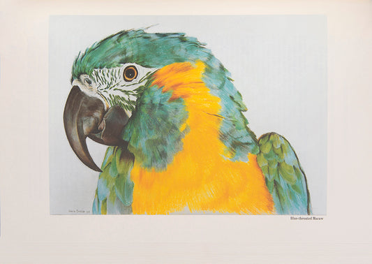 A signed limited edition copy of Tony Silva's Monograph of endangered parrots, with 42 plates after illustrations by Gracia Bennish.