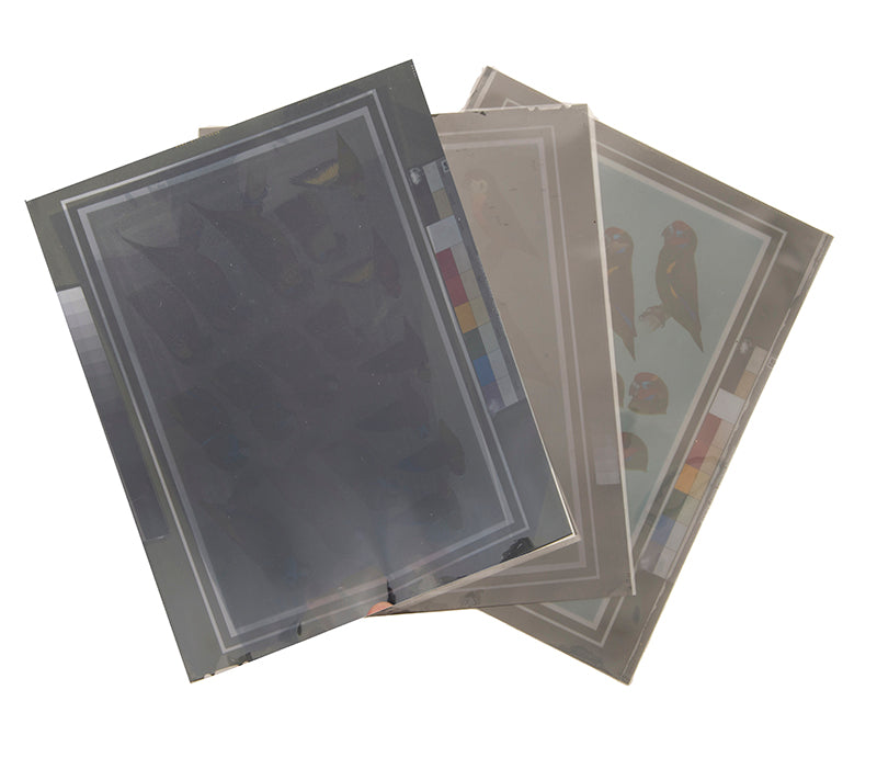 The original artwork and manuscript notes from Forshaw's Parrots of the World, featuring 123 watercolours by the illustrator Frank Knight.