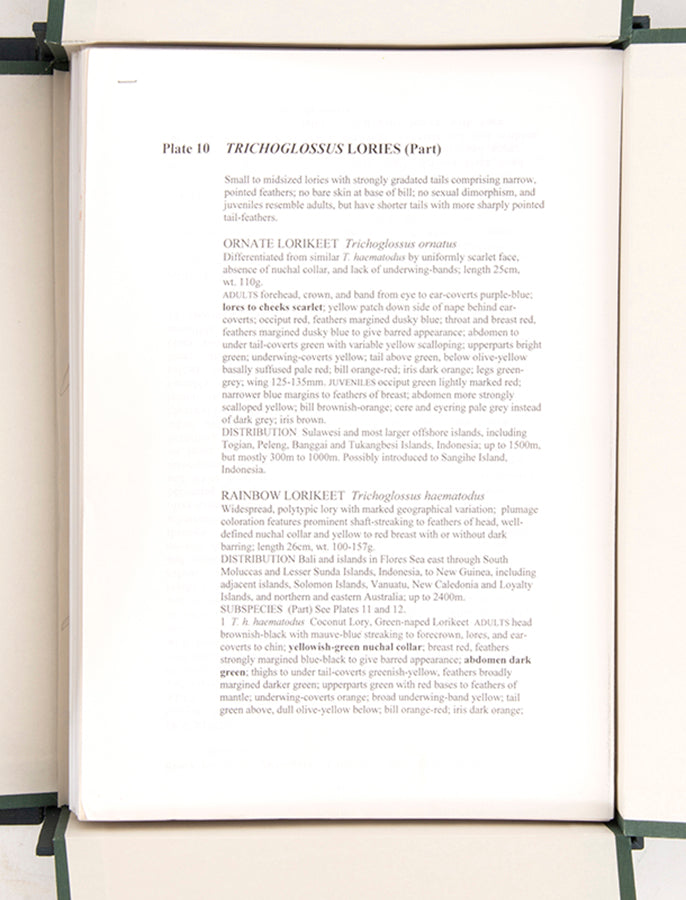 The original artwork and manuscript notes from Forshaw's Parrots of the World, featuring 123 watercolours by the illustrator Frank Knight.