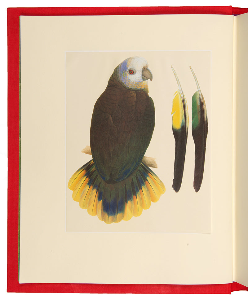 A signed limited edition issue of Elizabeth Butterworth's Amazon Parrots, illustrated with 28 colourplates on Mellotex paper.