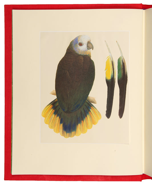 A signed limited edition issue of Elizabeth Butterworth's Amazon Parrots, illustrated with 28 colourplates on Mellotex paper.