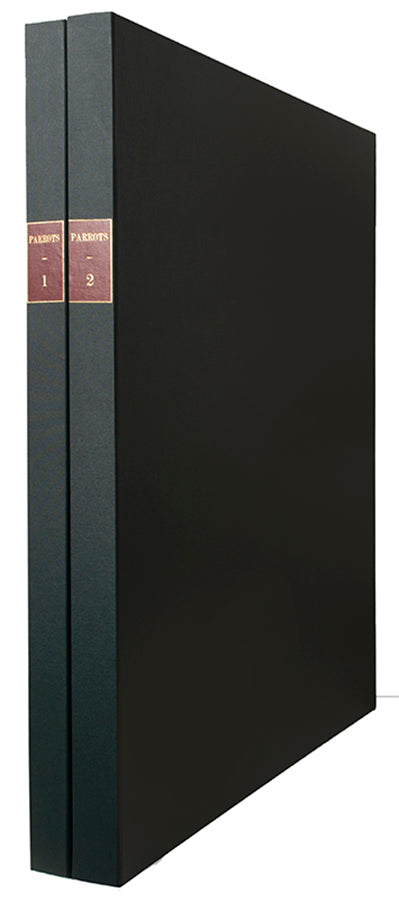 Fine original watercolours by Peter Schouten for Tim Flannery's A Gap in Nature