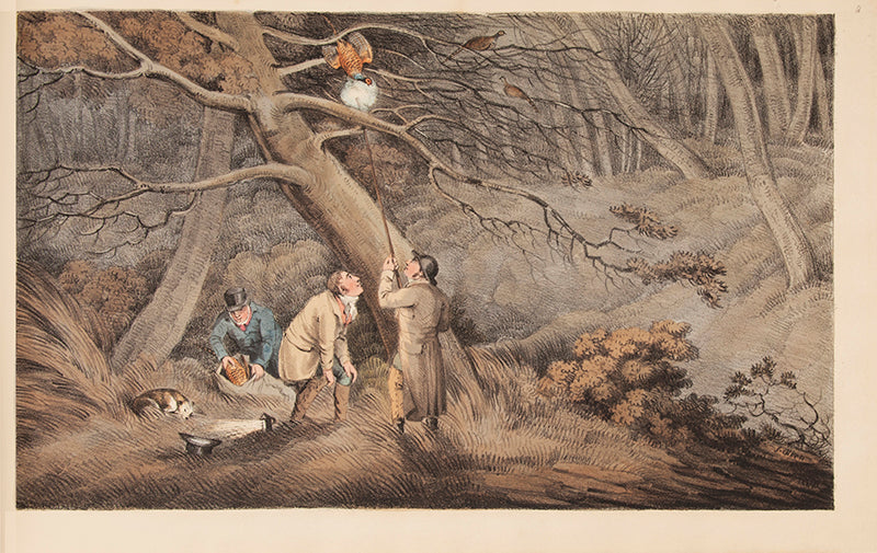 The coloured issue of Samuel Alken's Delineations of British Field Sports ranks as one of the rarest sporting books of the period