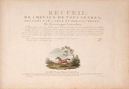 A fine copy of Recueil de chevaux de tous genres by Carle and Horace Vernet, a remarkable series of hand-coloured lithographs of horses.