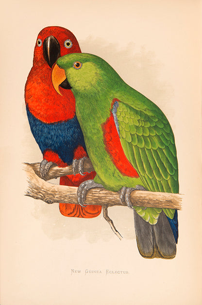 The first edition of Greene's Parrots in Captivity, the first book to deal exclusively with the subject matter, illustrated with 81 colour plates.