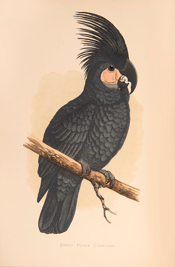 The first edition of Greene's Parrots in Captivity, the first book to deal exclusively with the subject matter, illustrated with 81 colour plates.