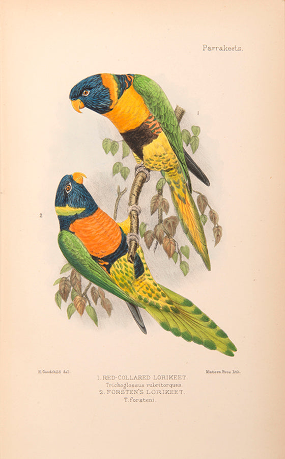 The scarce second edition of David Seth-Smith's monograph on Parakeetss, illustrated with 20 colur plates.