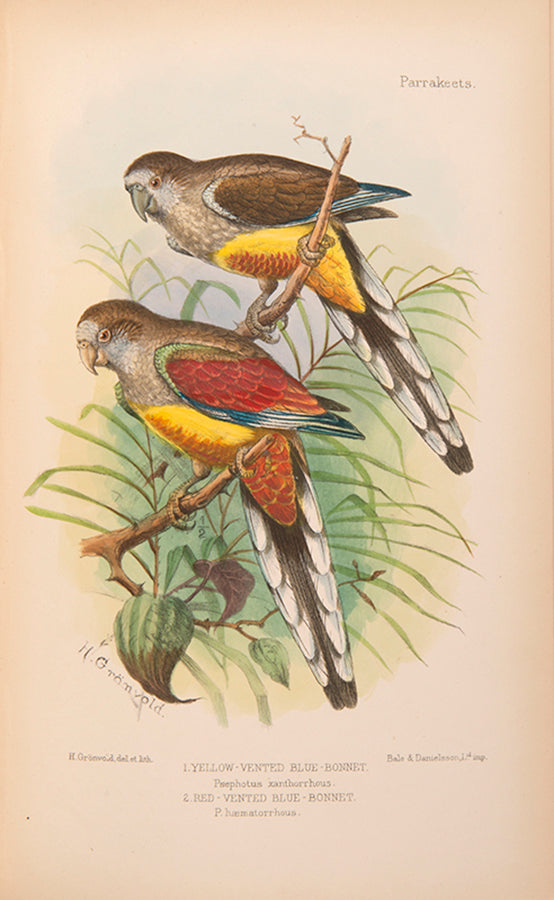 The scarce second edition of David Seth-Smith's monograph on Parakeetss, illustrated with 20 colur plates.