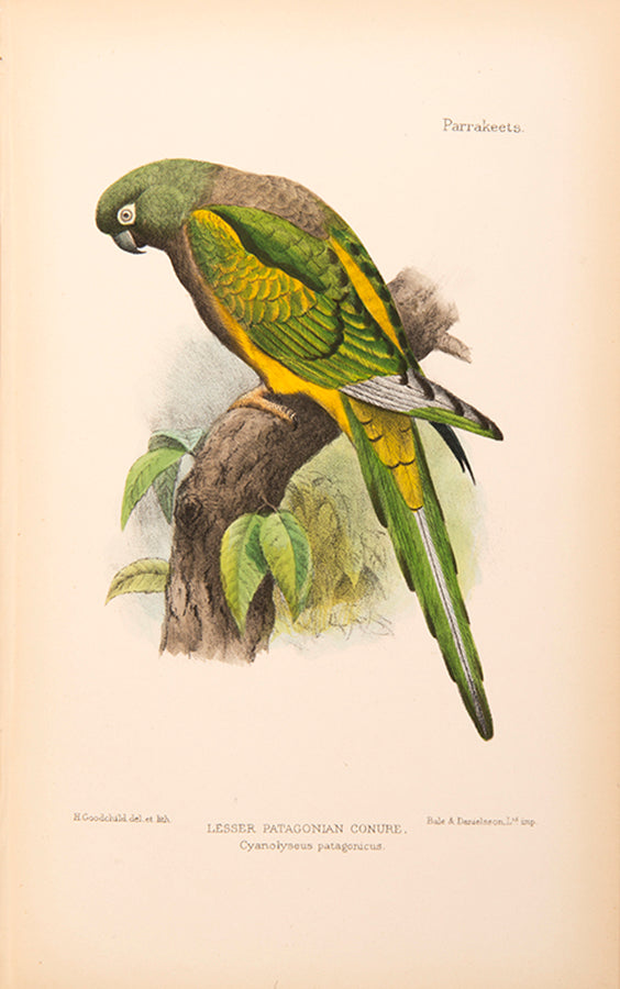 The scarce second edition of David Seth-Smith's monograph on Parakeetss, illustrated with 20 colur plates.