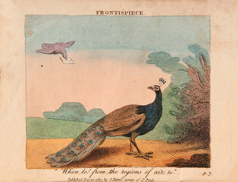 The first edition of The Peacock and the Parrot, a scarce illustrated children's tale with 6 hand-coloured plates.
