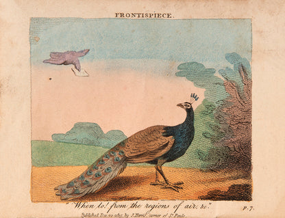 The first edition of The Peacock and the Parrot, a scarce illustrated children's tale with 6 hand-coloured plates.