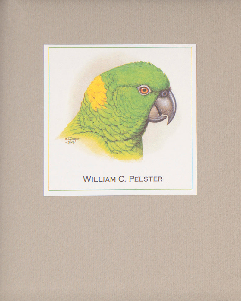 The first edition of The Peacock and the Parrot, a scarce illustrated children's tale with 6 hand-coloured plates.