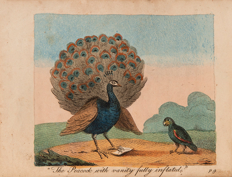 The first edition of The Peacock and the Parrot, a scarce illustrated children's tale with 6 hand-coloured plates.