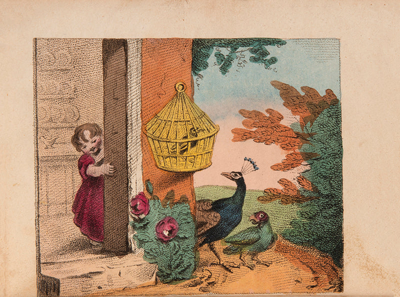 The first edition of The Peacock and the Parrot, a scarce illustrated children's tale with 6 hand-coloured plates.