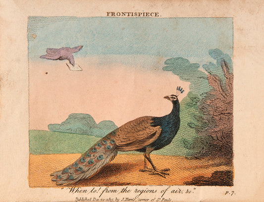 The first edition of The Peacock and the Parrot, a scarce illustrated children's tale with 6 hand-coloured plates.