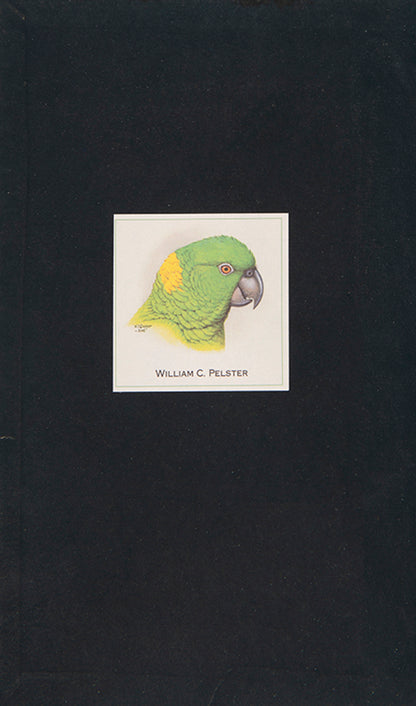 The scarce variant issue in two volumes of Archibald Campbell's Nests and Eggs of Australia, richly illustrated with 28 chromolithographs and 121 photographic plates.