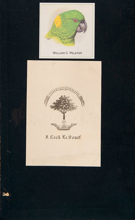 The scarce variant issue in two volumes of Archibald Campbell's Nests and Eggs of Australia, richly illustrated with 28 chromolithographs and 121 photographic plates.