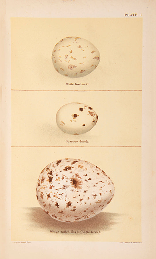 The scarce variant issue in two volumes of Archibald Campbell's Nests and Eggs of Australia, richly illustrated with 28 chromolithographs and 121 photographic plates.