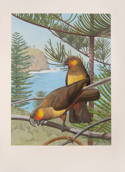 A fine set of 37 original watercolours by Frank Knight for Joseph Forshaw's Vanished and Vanishing Parrots.