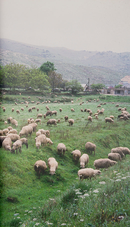 In Concresco, David Galjaard explores the social and symbolic significance of the numerous concrete bunkers built in Albania during the rule of dictator Ever Hoxha and the role they now play in the modern landscape.