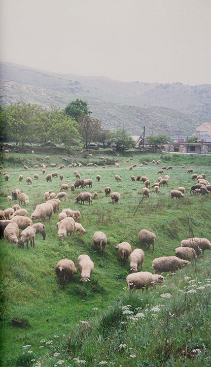 In Concresco, David Galjaard explores the social and symbolic significance of the numerous concrete bunkers built in Albania during the rule of dictator Ever Hoxha and the role they now play in the modern landscape.