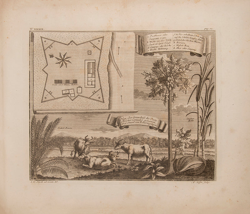 Heydt's Ost-Indien provides us with an extensive and important work with regard to the town planning and general topography of Jakarta in the first half of the eighteenth century.