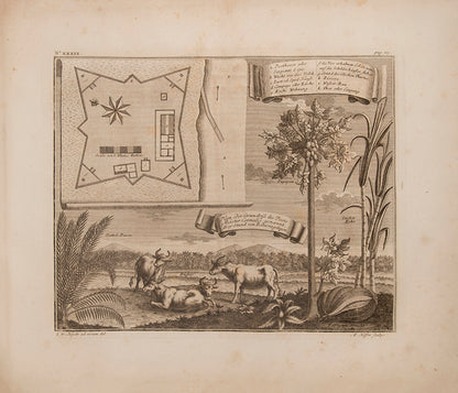 Heydt's Ost-Indien provides us with an extensive and important work with regard to the town planning and general topography of Jakarta in the first half of the eighteenth century.