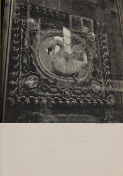 First edition thus of this meditation on resistance, after the scarce original clandestine version with gelatin silver photographs produced by the artists in a small number of copies during the Nazi occupation of Czechoslovakia. 