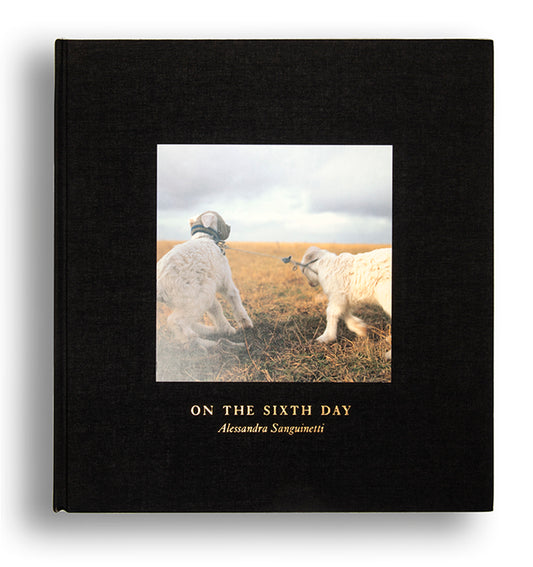 Alessandra Sanguinetti's On the Sixth Day, set in the Buenos Aires province Partido de Guido, explores the interdependent relationship between local farmers and the animals they raise for food. 