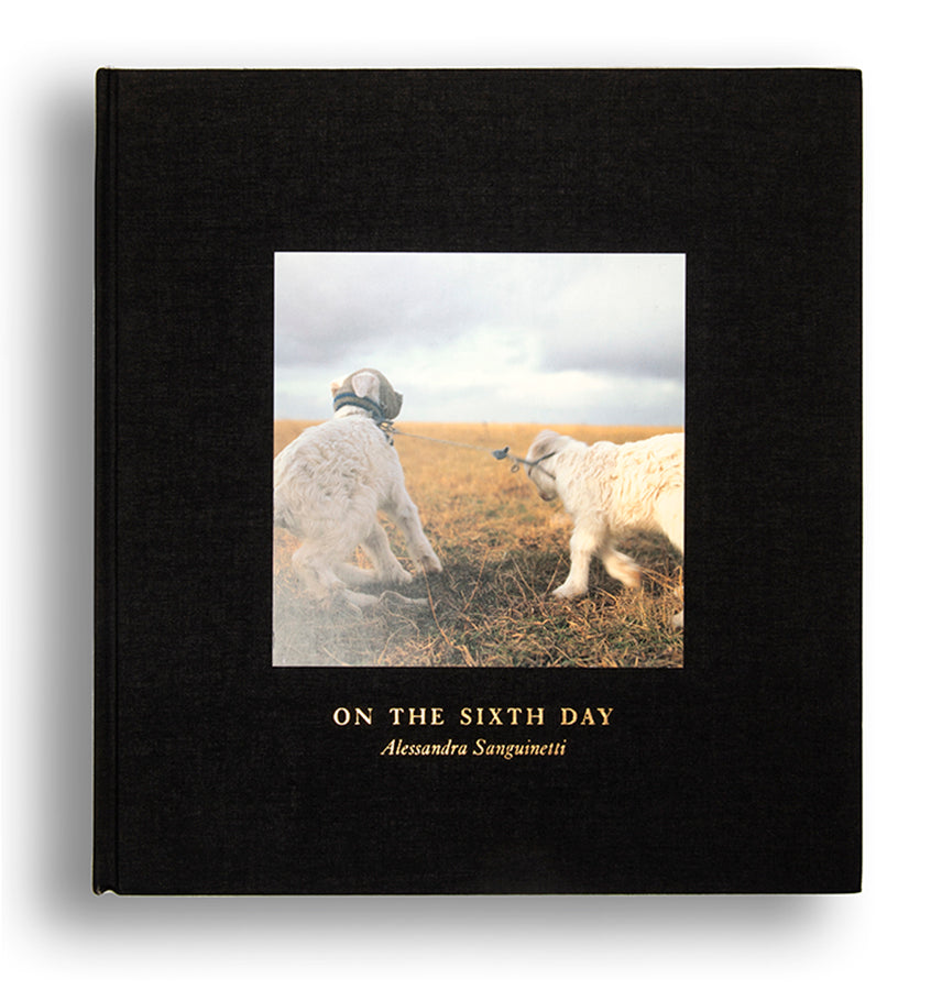Alessandra Sanguinetti's On the Sixth Day, set in the Buenos Aires province Partido de Guido, explores the interdependent relationship between local farmers and the animals they raise for food.
