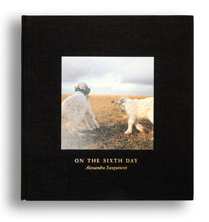 Alessandra Sanguinetti's On the Sixth Day, set in the Buenos Aires province Partido de Guido, explores the interdependent relationship between local farmers and the animals they raise for food.