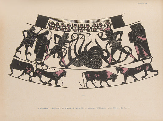 First edition of Catalogue des vases peints du Musee national d'Athenes by Georges Nicole.