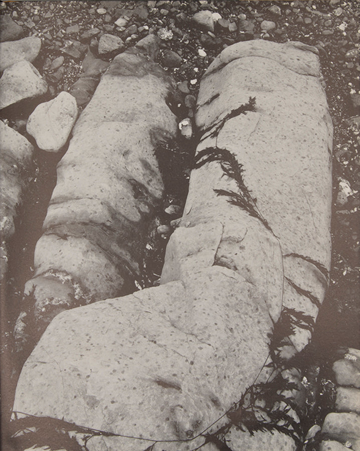 Ishimoto Yasuhiro studied at the Chicago Institute of Design under Harry Callahan and Aaron Siskind, Someday Somewhere clearly shows the influence of his time there.