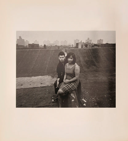 Bruce Davidson regularly visited East Harlem with a view camera and tripod with which he photographed the residents of a city block on East 100th Street between First and Second Avenues in New York. Davidson chose this block because, at the time, it had a reputation as being one of the worst in the city.