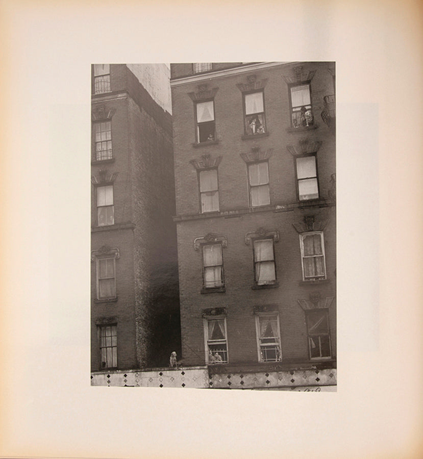 Bruce Davidson regularly visited East Harlem with a view camera and tripod with which he photographed the residents of a city block on East 100th Street between First and Second Avenues in New York. Davidson chose this block because, at the time, it had a reputation as being one of the worst in the city.