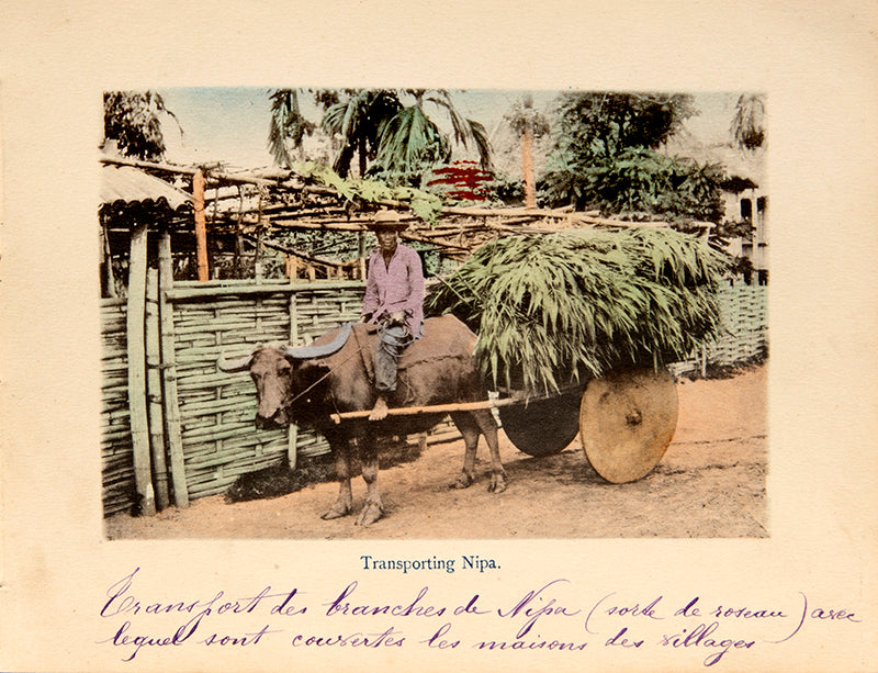 An evocative series of colour photographs of the Philippines, ranging from views of Manilla harbour to domestic scenes such as a butcher's shop, washer-women, market scenes, rice cleaning, and a cock fight.