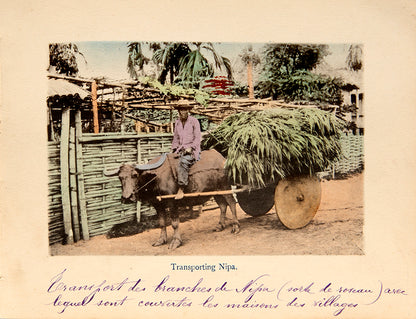 An evocative series of colour photographs of the Philippines, ranging from views of Manilla harbour to domestic scenes such as a butcher's shop, washer-women, market scenes, rice cleaning, and a cock fight.