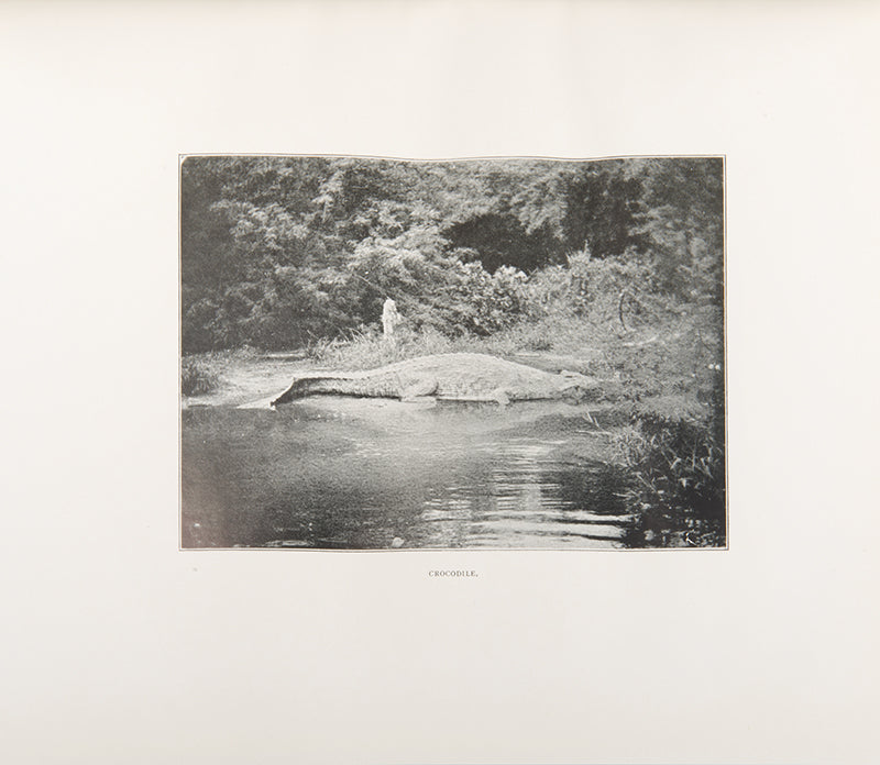 Stigand's Game of British East Africa is a handsome volume that examines wild game, its habitat, and spoor within Kenya, Uganda